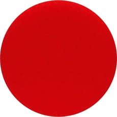 Bosch Hook and Loop Polishing Sponge