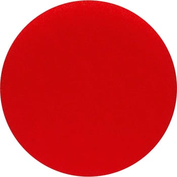 Bosch Hook and Loop Polishing Sponge