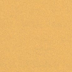 Bosch EXPERT C470 No Hole Sandpaper for Orbital Sanders