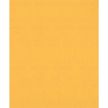 Bosch EXPERT C470 Best for Wood and Paint Unpunched Sanding Sheet