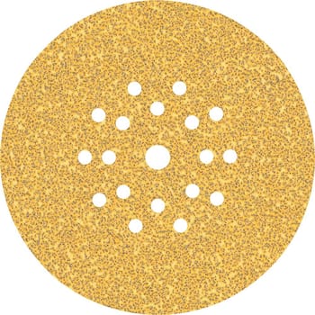 Bosch EXPERT C470 Best for Wood and Paint Dry Wall Sanding Discs 225mm