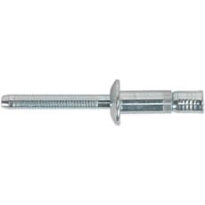 Sealey Zinc Plated Steel Structural Rivets
