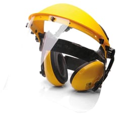 Portwest Face Shield and Ear Defenders Kit
