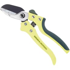 Kew Gardens Medium Anvil Secateurs